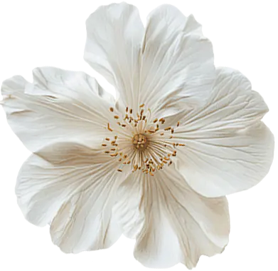 Canvas Image