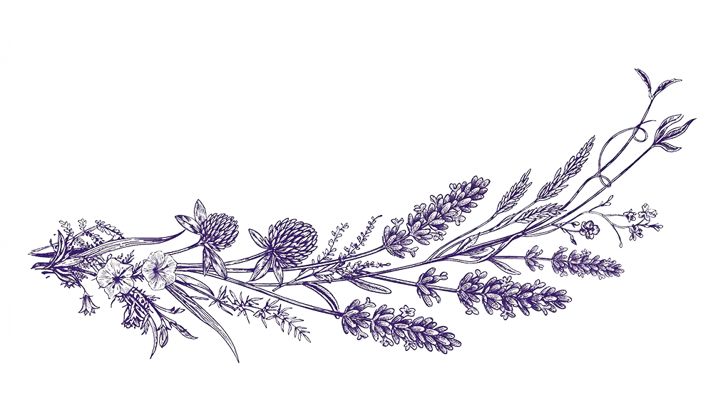 Canvas Image